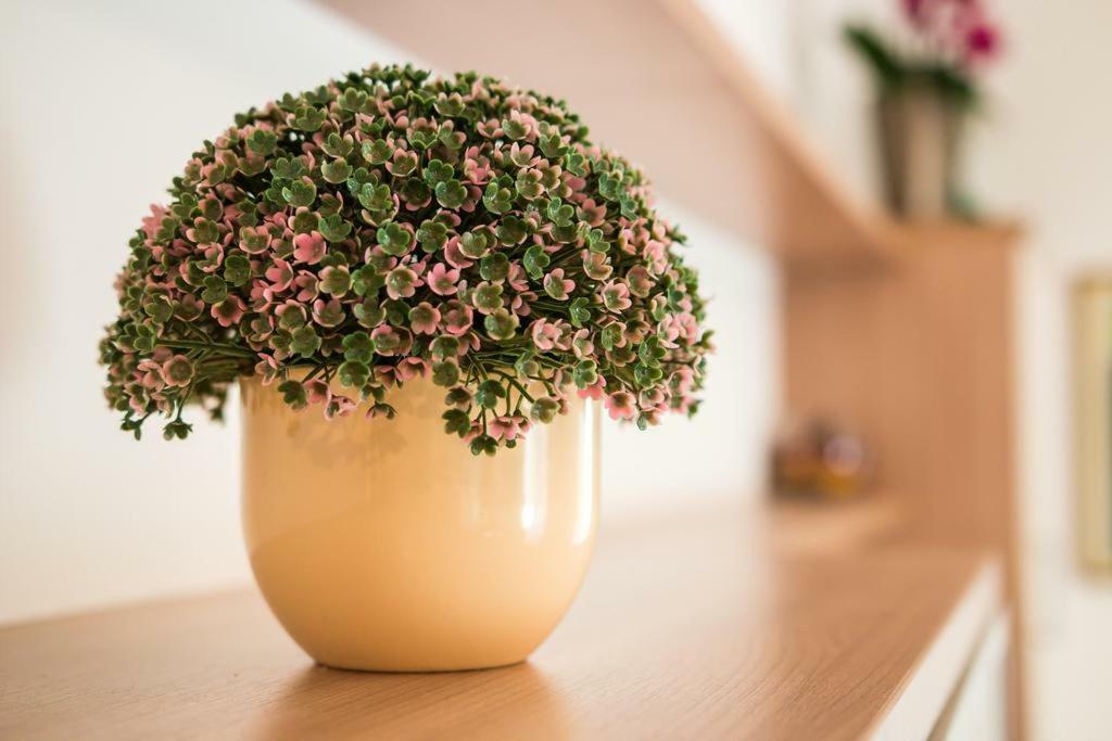 Snjezana Apartment มาลีโลชินจ์ ภายนอก รูปภาพ